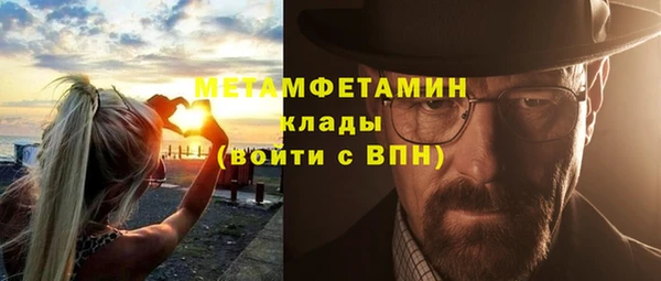 мяу мяу мука Ессентукская