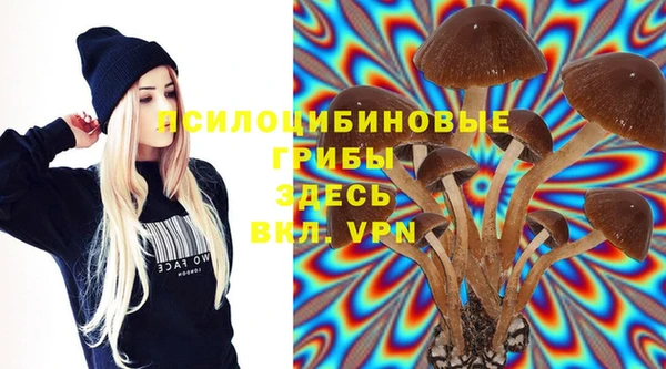 МДМА Карталы